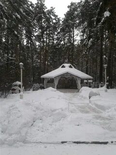 Хвоя парк бердск