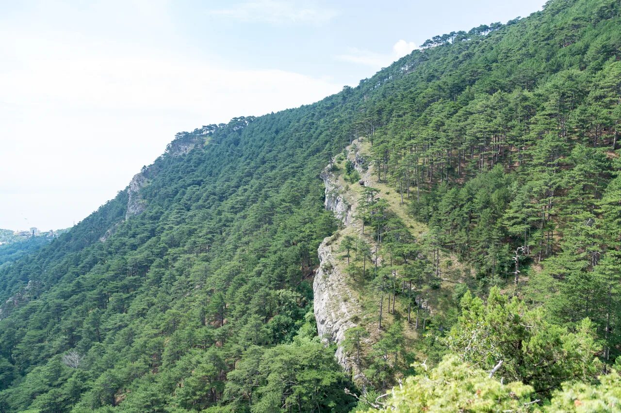 Тропа македонского о. Греция горная тропа. Колыма. Appalachian trail / аппалачиан трэйл. Гора эндек.