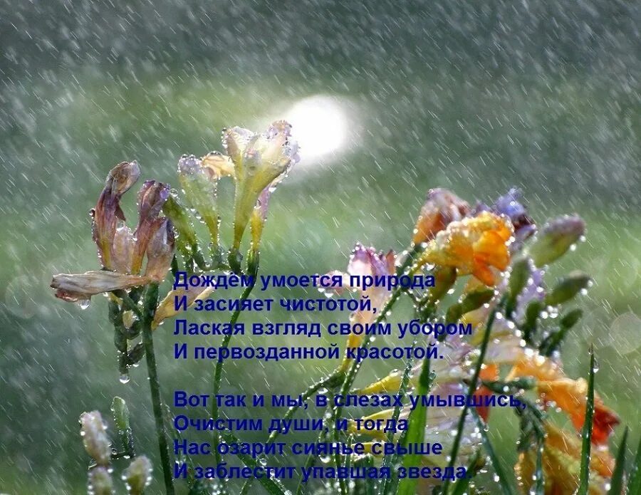 Бесплатные дождливые открытки. Стихи о Дожде красивые. Дождливое утро. Дождливый день. Дождливое доброе утро пожелания.