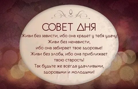 Зависть живет