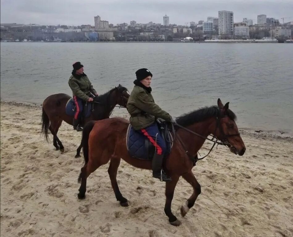 Казаки на конях. Донской казак донская казачка. Кубанские казаки на конях. Казачество "казаки на северном кавказе". Казак просил.