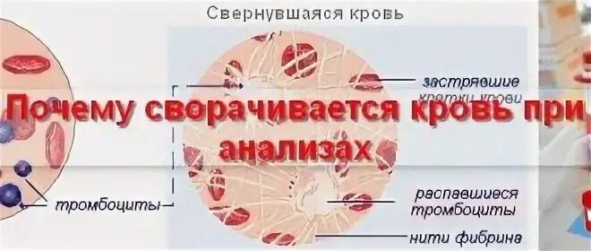 Анализ вена кровь свернуться