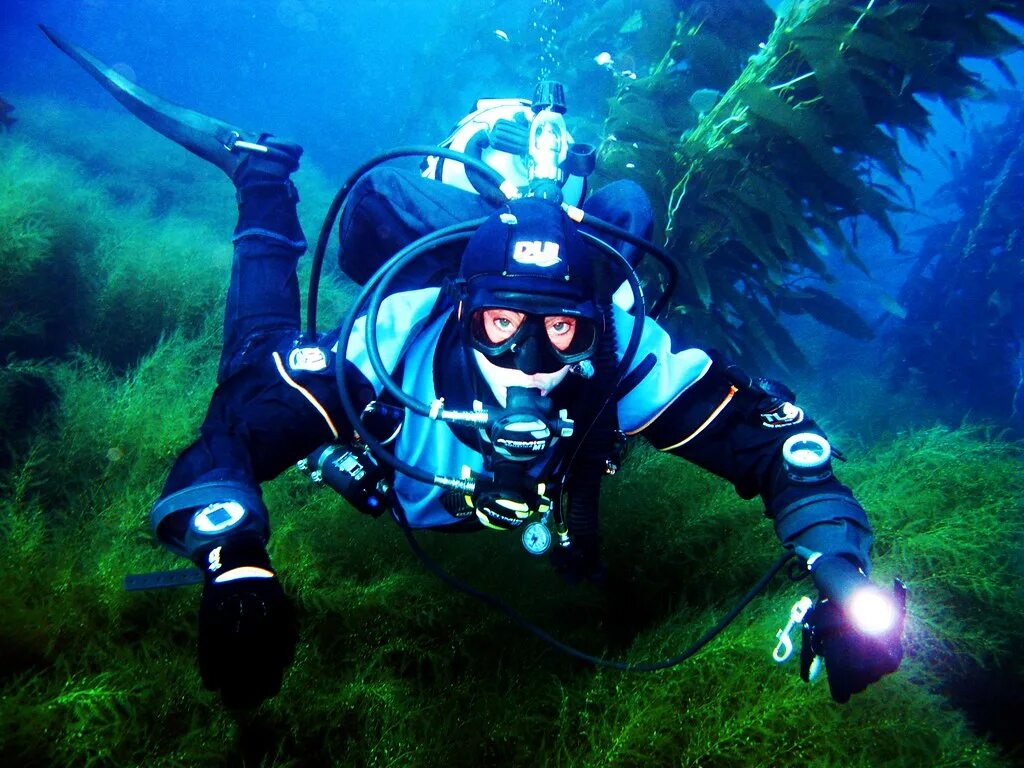 Dive project