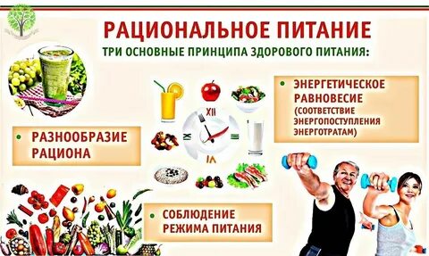 Обучение по питанию основы здорового питания