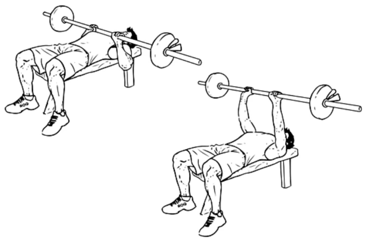 Жим лежа правильная техника. Жим штанги техника. Жим штанги лежа. Жим штанги лежа на горизонтальной скамье техника. Жим штанги лежа техника выполнения.