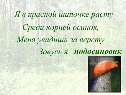 Осинки падеж