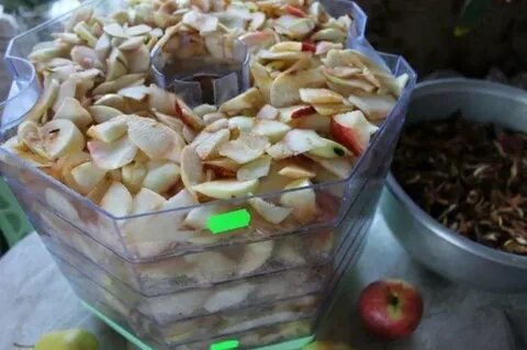 Чипсы в сушилке для овощей