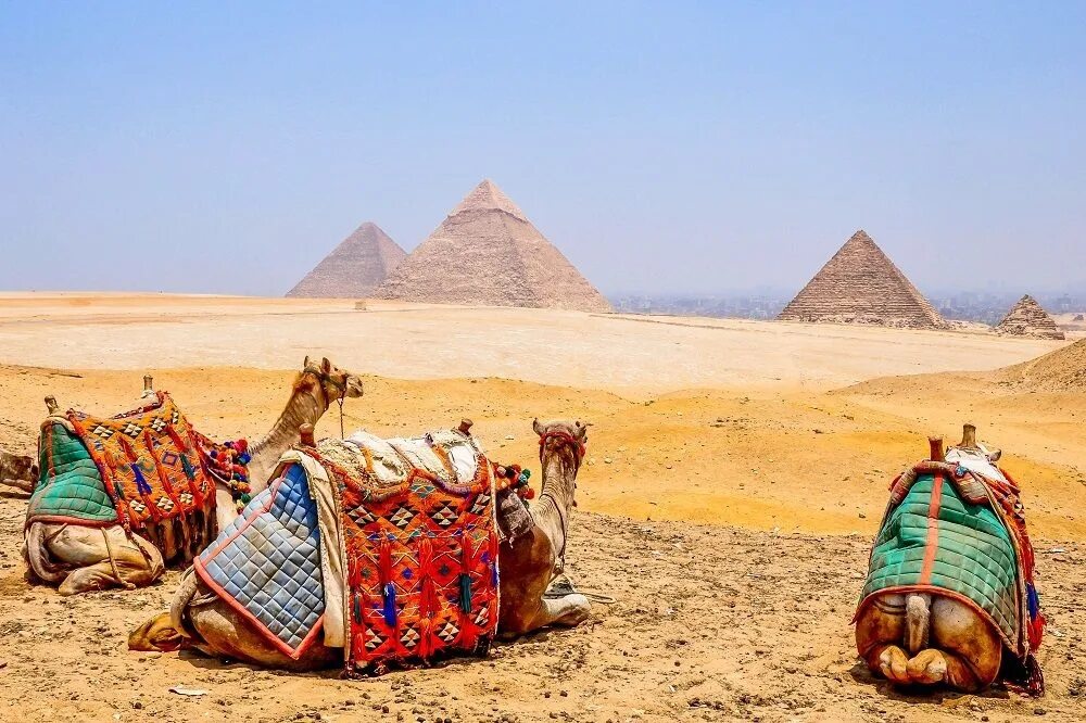 Каир море. Египет Egypt. Арабская Республика Египет. Каир пирамиды. Египет пирамиды Верблюды.