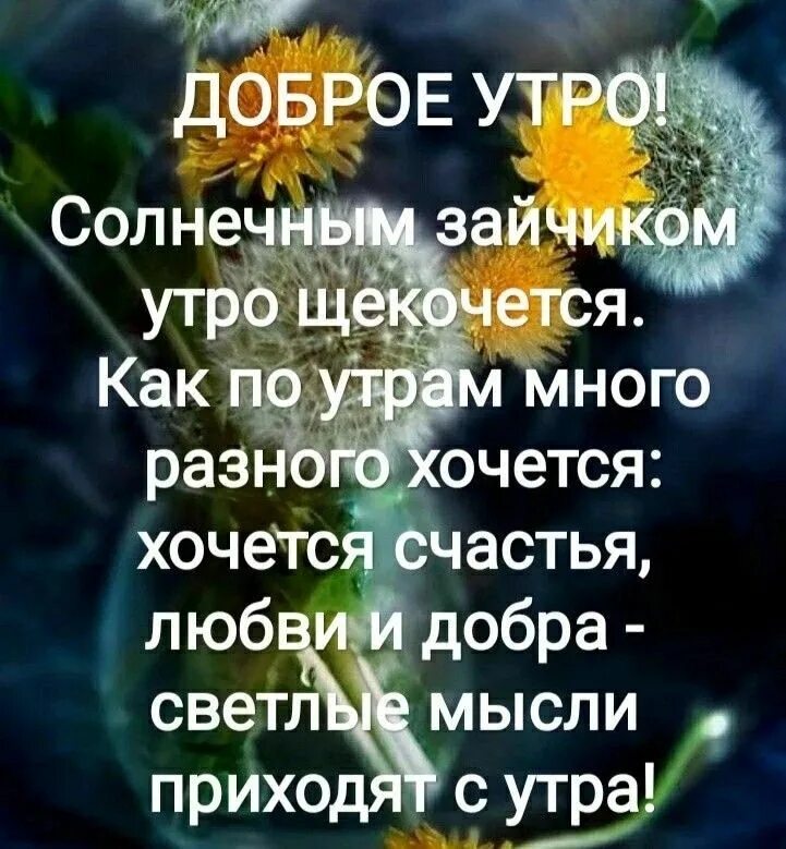 Доброе весеннее утро с мудрыми мыслями. Доброе утро цитаты. Добрые пожелания и высказывания. Афоризмы о добром утре. Хорошего дня умные высказывания.