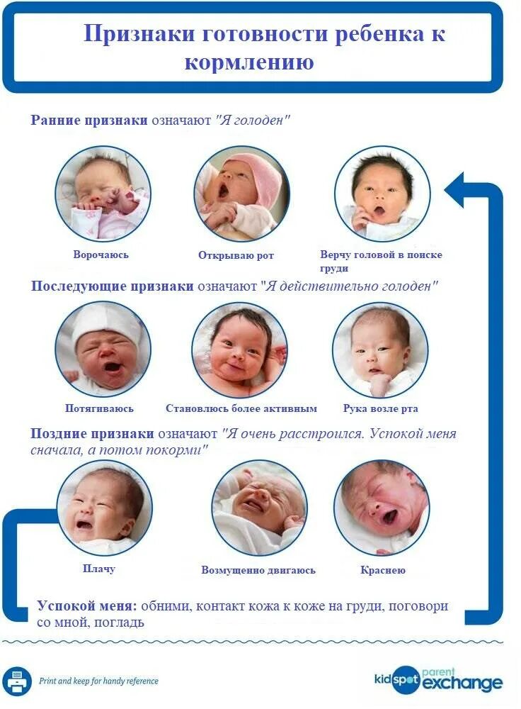 Признаки лактации. Признаки готовности ребенка к кормлению. Признаки что грудничок хочет есть. Как понять что младенец голоден. Новорожденный хочет есть признаки.