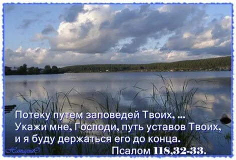 Путь течь