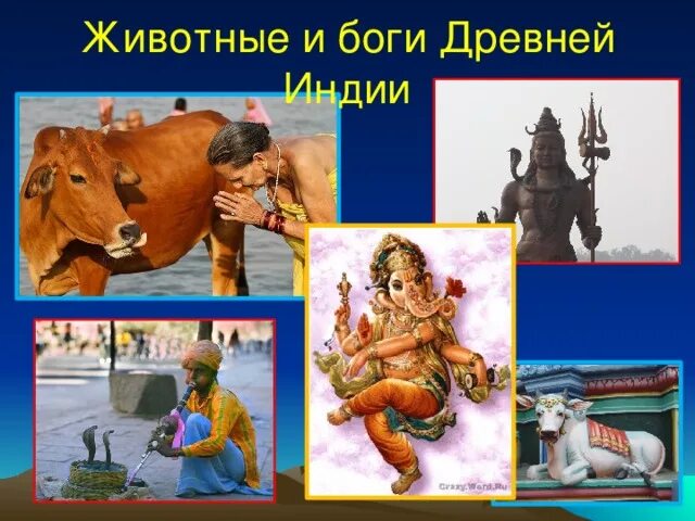В виде какого животного бог. Боги древней индии. боги древней индии 5 класс. животные и боги индии. животные и боги древней индии 5 класс.