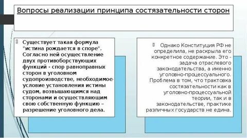 Принципы диспозитивности и состязательности