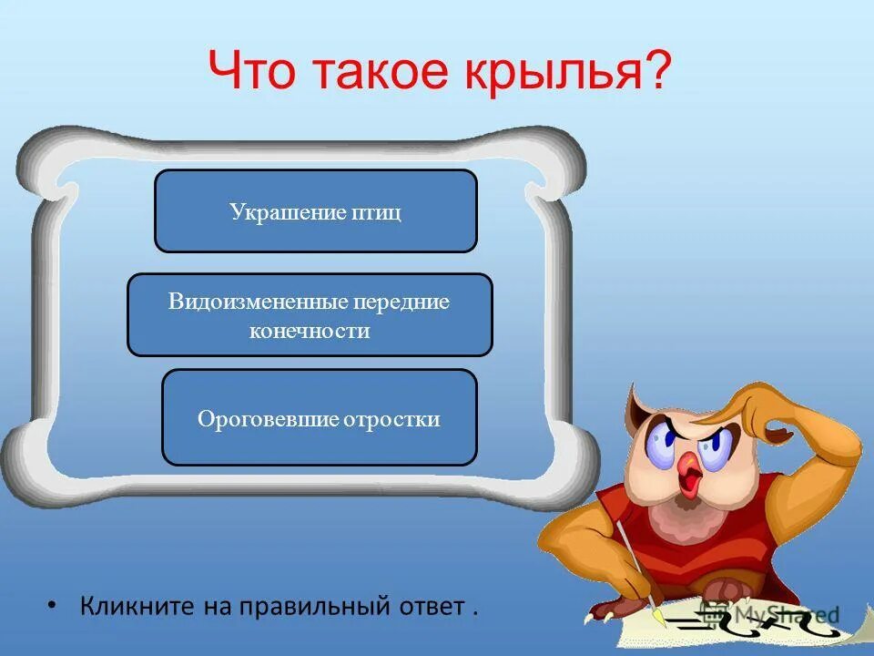 Аффирмация на удачу и везение. Оберег на удачу. Экстремальный тайм менеджмент николай мрочковский колесо жизни. Составляющие удачи. Высказывания про удачу.