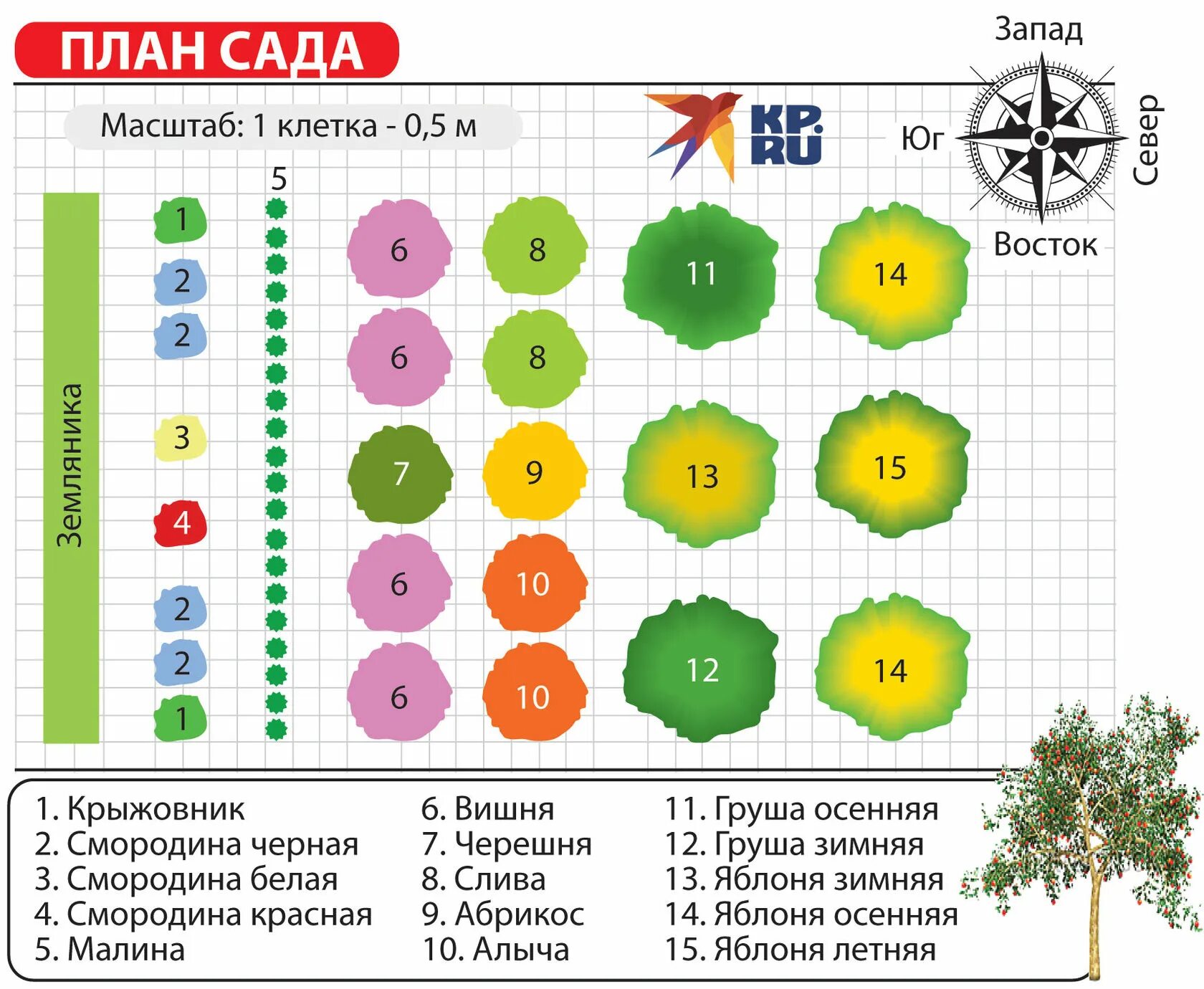 Как правильно разместить теплицу. Схема посадки плодовых деревьев на участке. правильное размещение теплицы на участке. расположение грядок на участке схема. огород размещение.