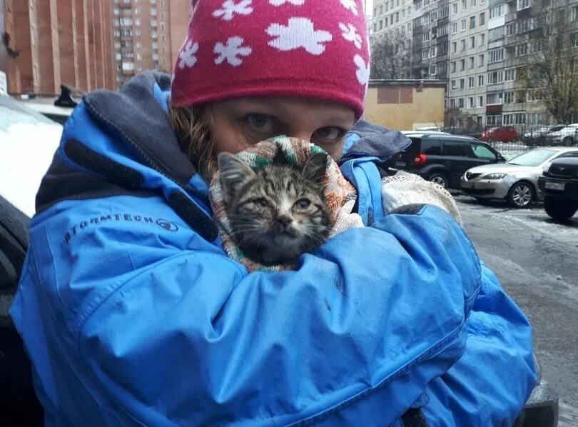 Кошкиспас спб