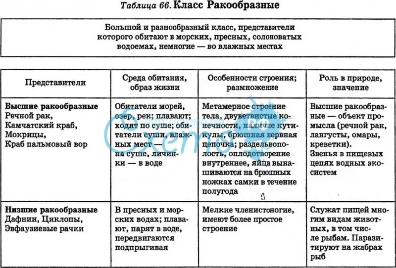 Ракообразные таблица. Класс ракообразные таблица. Ракообразные среда обитания таблица. Класс ракообразные 7 класс таблица.