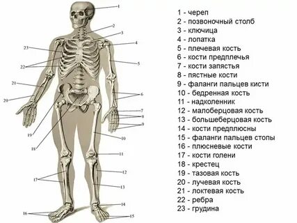 Почему кубики называют костями