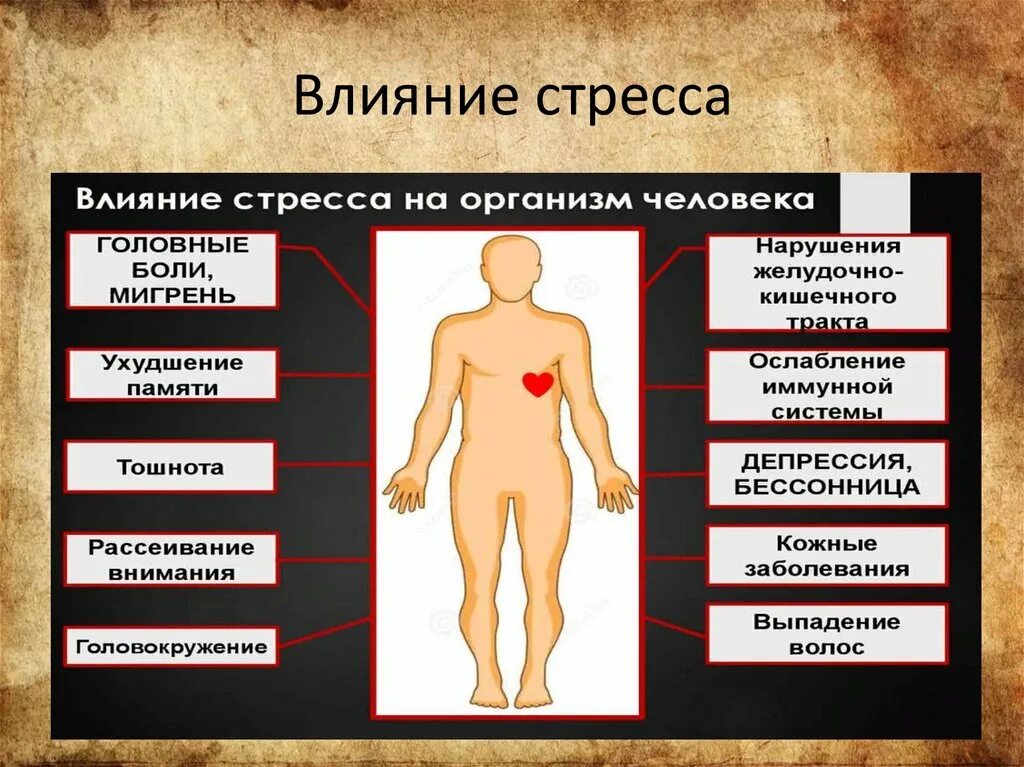 Проект на тему влияние стресса на человека. Влияние стресса на организм. Влияние стресса на органы. Влияние стресса на человеческий организм. Отрицательное влияние стресса на организм.