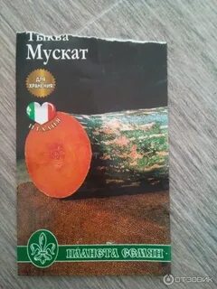 Планета семян