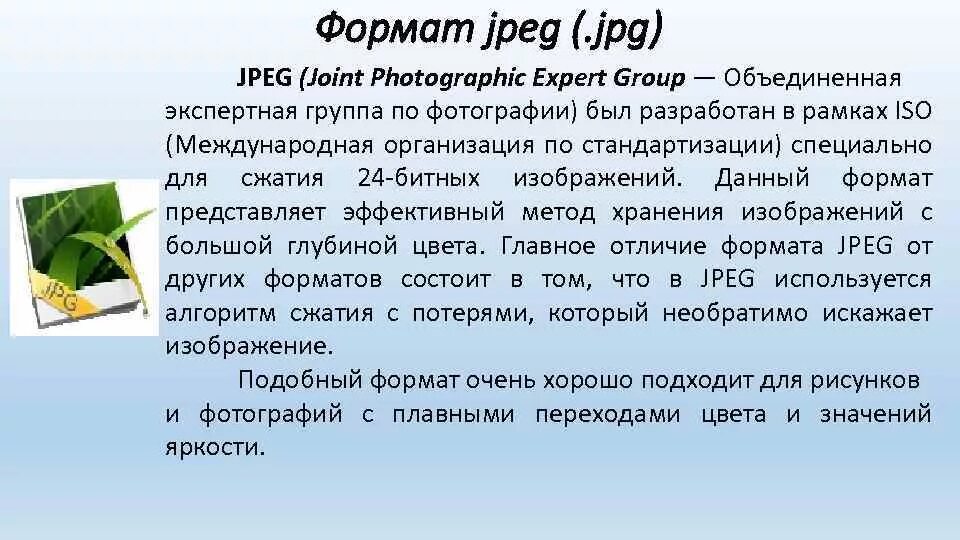 Что значит формат. Формат jpeg. jpg формат. формате jpg что это за формат. формат jpg пример.