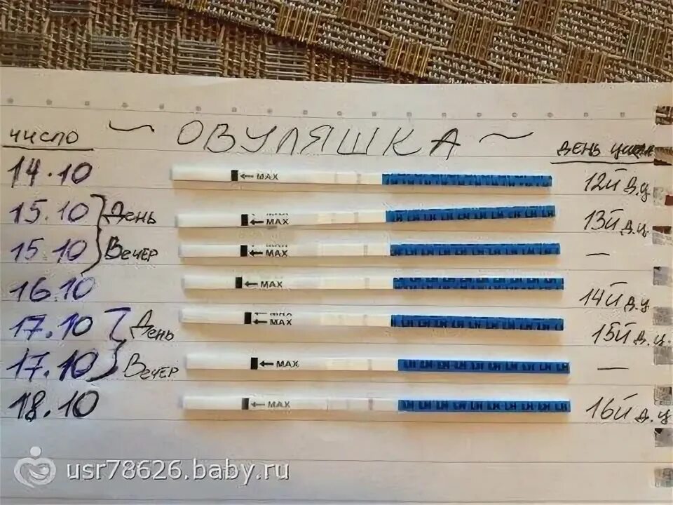 тест на овуляцию и беременность. овуляторные выделения. тест на овуляцию. шеечная слизь по дням цикла. овуляция в домашних условиях.