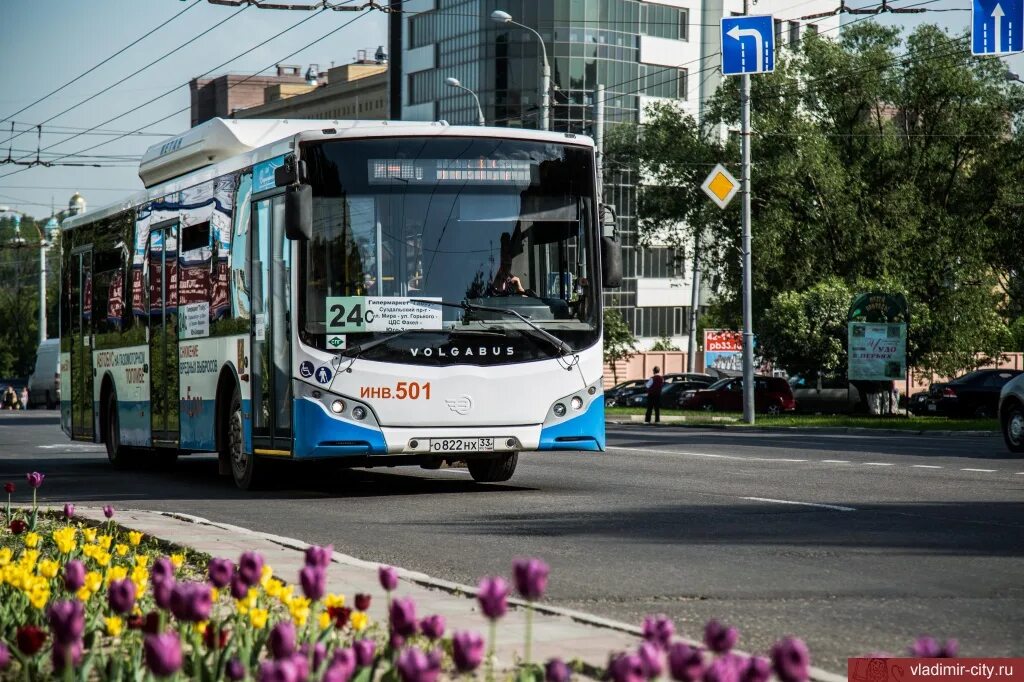 Балашиха городской транспорт. Общественный транспорт города Владимира.