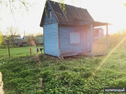 Садовой дорожник