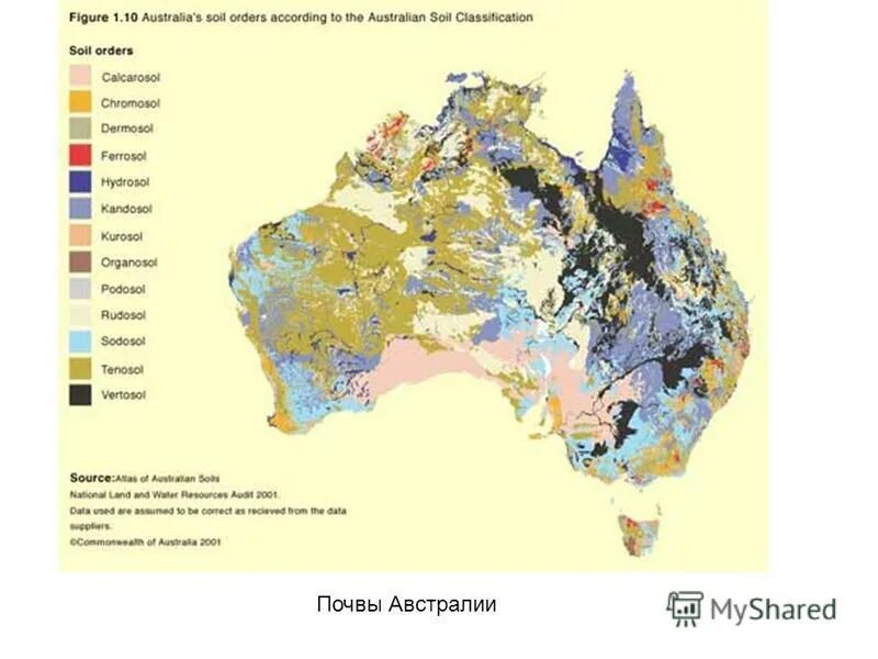 разновидность почв в австралии. какие почвы в австралии. типы почв австралии. почва в тропических лесах. карта растительности австралии.