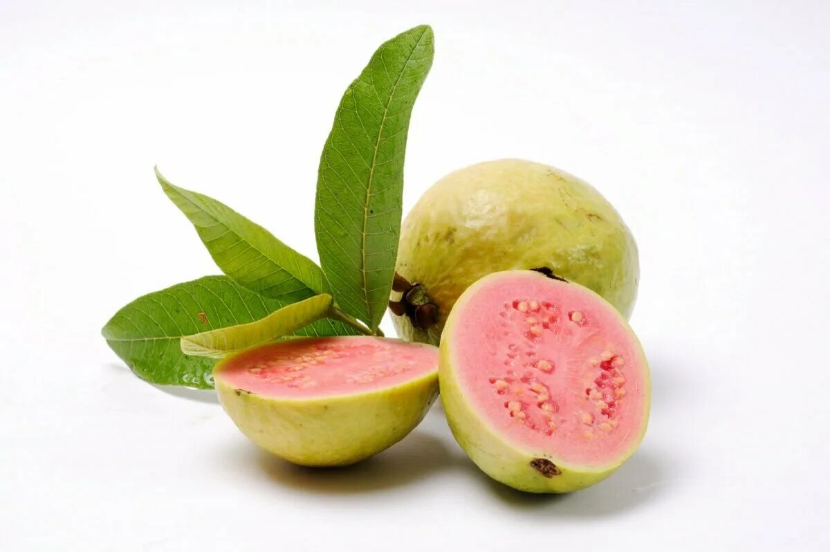 Pin on Holistic Remedies