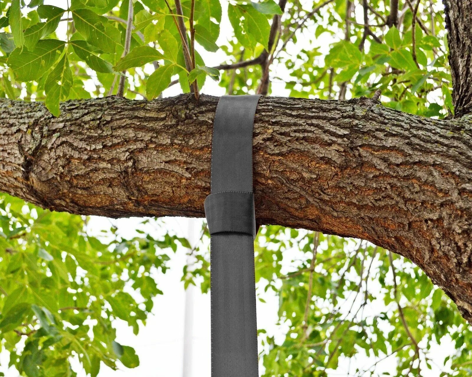 Качели между 2 деревьями. Перекладина для качели между деревьями. Качели между двух деревьев. Веревочные качели на дереве. Между двух деревьев.