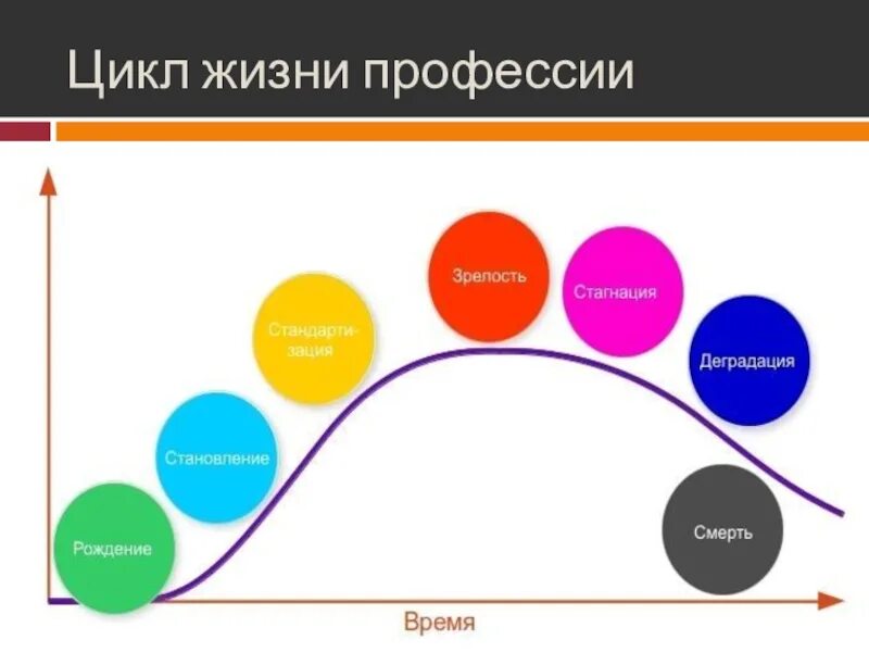 Жизненный цикл профессии. Опишите жизненный цикл профессии. Опишите жизненный цикл какой либо профессии. Цикл жизни. Жизненный цикл человека схема.