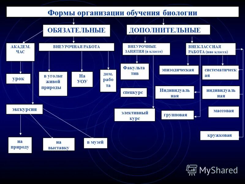 Формы организации обучения схема. Формы обучения биологии. Формы организации обучения биологии. Формы и виды организации обучения.