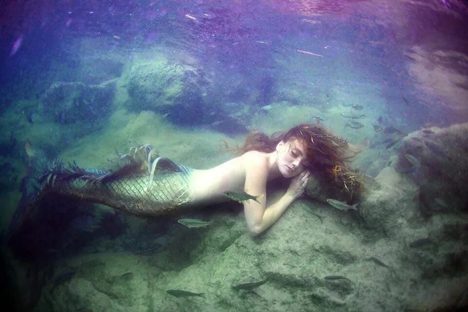 Живые русалки в море. Русалки настоящие. Русалка настоящая. Русалка живая. Настоящие русалки в море.