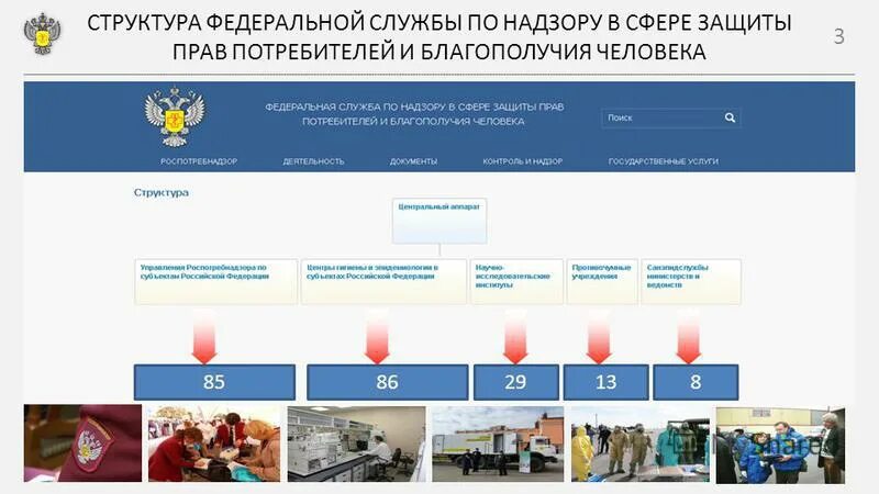 Структура Роспотребнадзора. Структура службы по надзору в сфере защиты прав потребителей. Структура службы Роспотребнадзора РФ. Задачи Роспотребнадзора в сфере защиты прав потребителей.