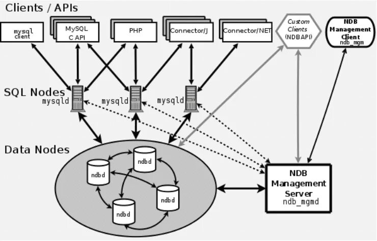 Cluster client