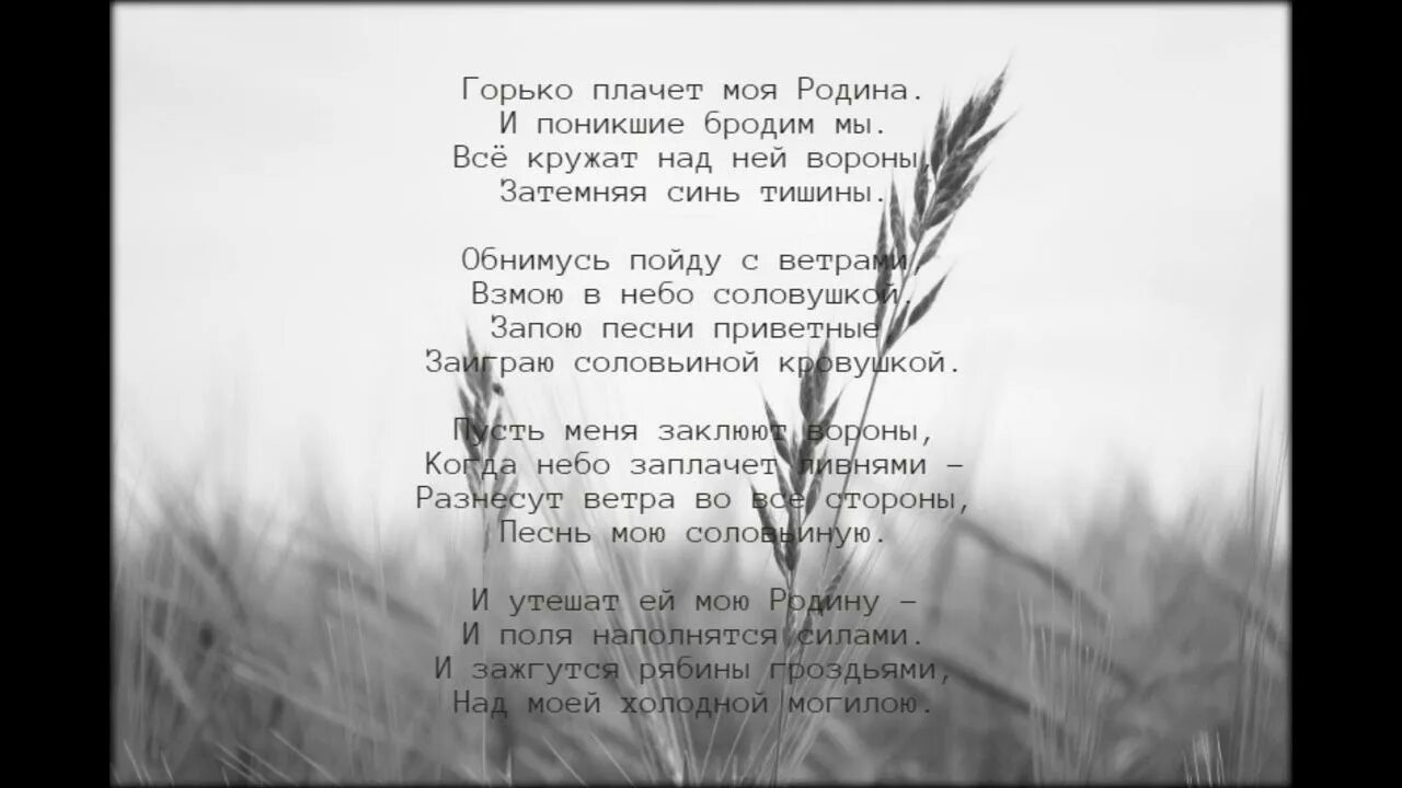 Горько плачет. Украина горько плачет стих. Горько заплакала. Природа горько плачет. Песня я всю ночь прорыдала