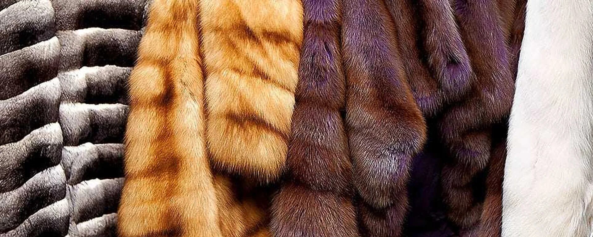 Как называется мех. Меховые шкурки. шкурки норок высокого качества. строение шубы. натуральный мех фото.