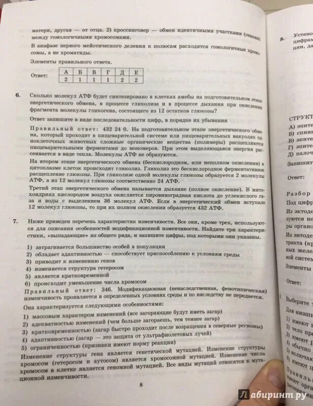 Егэ биология экзаменационные варианты. Богданов биология егэ. богданов в. лабиринт сцеплений.
