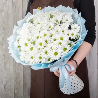 15 ромашек