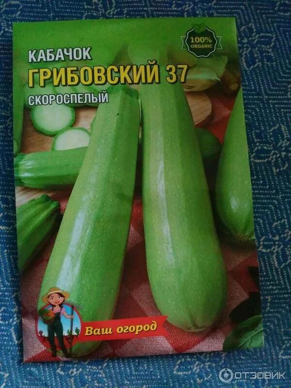 Кабачок Грибовские 37/Сем Алт/цп 2 гр. в Хабаровске Кабачок, капуста, кукуруза. 