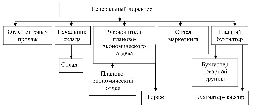 Организационная структура оптовой торговой организации. Организационная структура ООО торговля оптовая. Организационная структура предприятия торговли схема. Структура управления торгового предприятия схема.