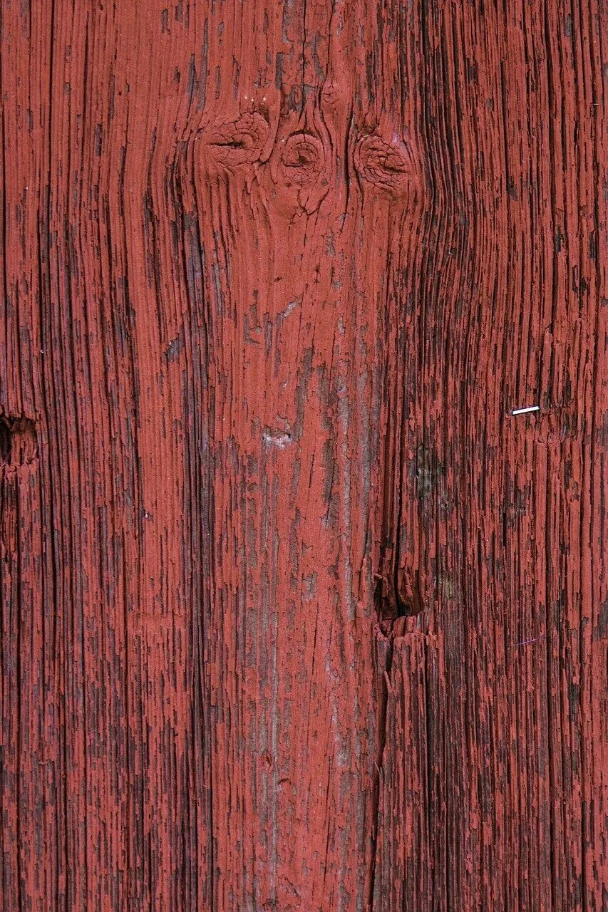Махагон древесина. Red Mahogany дерево. Фактура дерева. Текстура древесины.