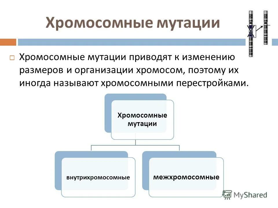 Хромосомные мутации методы генетики. Хромосомные мутации. Хромосомные мутации примеры. Типы хромосомных мутаций. Признак хромосомной мутации.