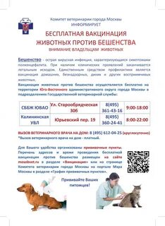 Вызвать животных