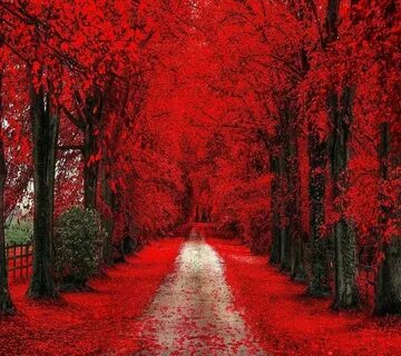 Red path