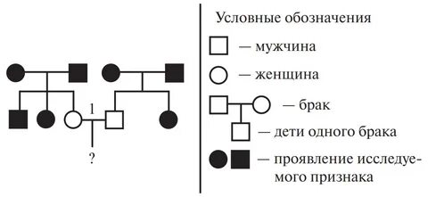 На схемах родословных женщину обозначают