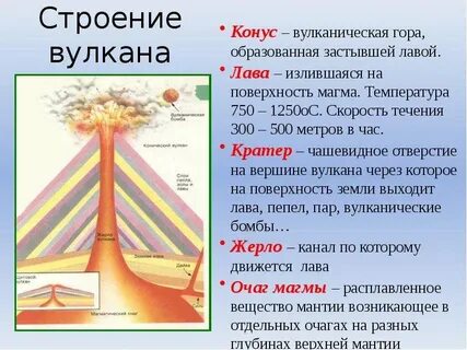 Выбери термин который относится к строению вулканов