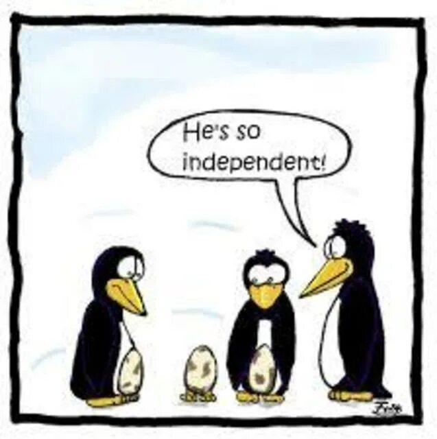 Being independent. Independent person picture. Фирма independent. The independent картинки. Фирма independent.