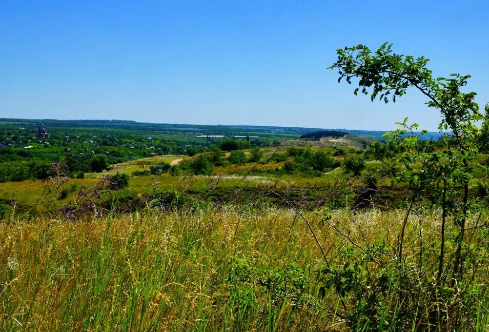 Краснодарский край крымский район школьная